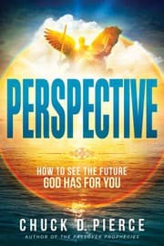 Tapa de Perspective