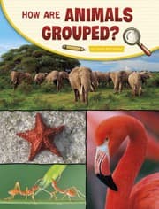 Tapa de How Are Animals Grouped?