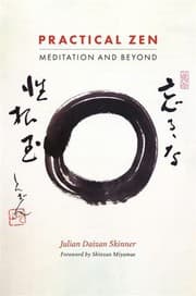 Tapa de Practical Zen