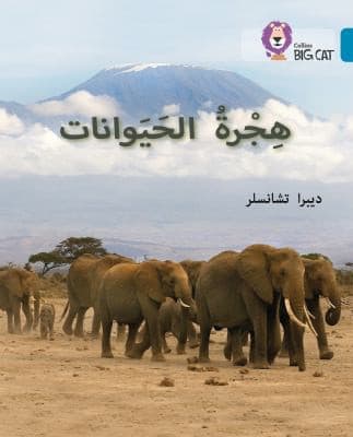 Tapa de Animals on the Move, Level 13