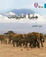 Tapa de Animals on the Move, Level 13