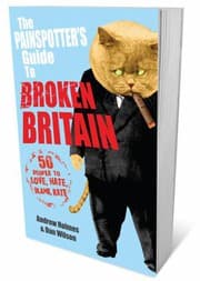 Tapa de The painspotter's guide to broken Britain