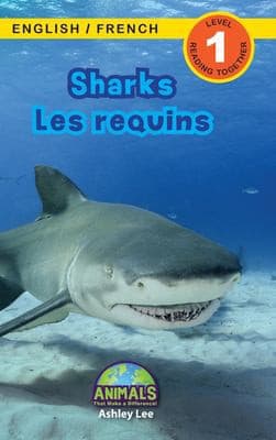 Tapa de Sharks / les Requins