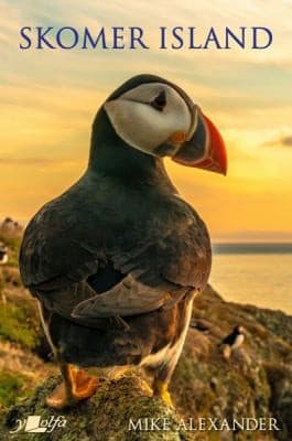 Tapa de Skomer Island