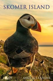 Tapa de Skomer Island