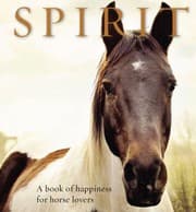 Tapa de Spirit