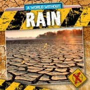 Tapa de Rain