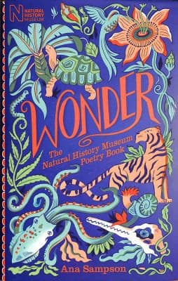 Tapa de Wonder