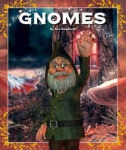 Tapa de Gnomes