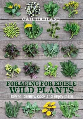 Tapa de Foraging for Edible Wild Plants