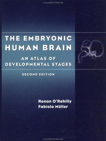Tapa de The embryonic human brain