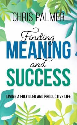 Tapa de Finding Meaning and Success