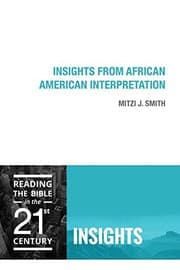 Tapa de Insights from African American Interpretation