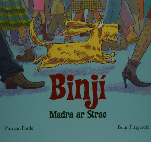 Tapa de Binji