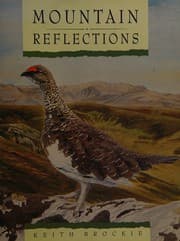 Tapa de Mountain Reflections