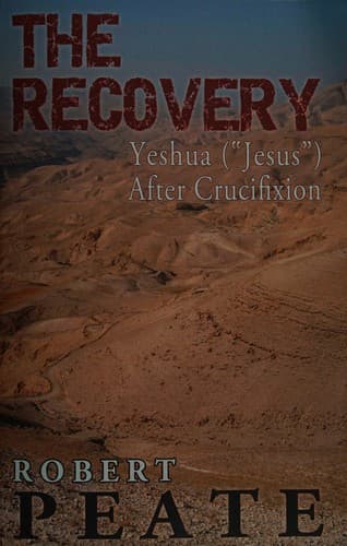 Tapa de The recovery