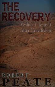 Tapa de The recovery