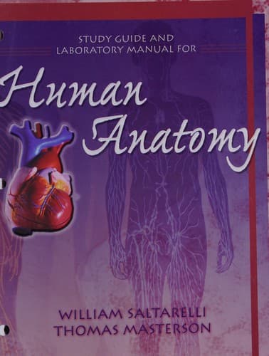Tapa de Human anatomy