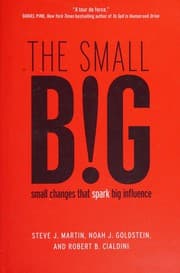 Tapa de The small BIG