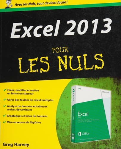 Tapa de Excel 2013 pour les nuls