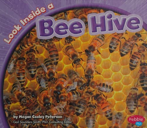Tapa de Look inside a bee hive