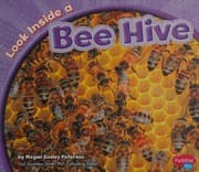 Tapa de Look inside a bee hive