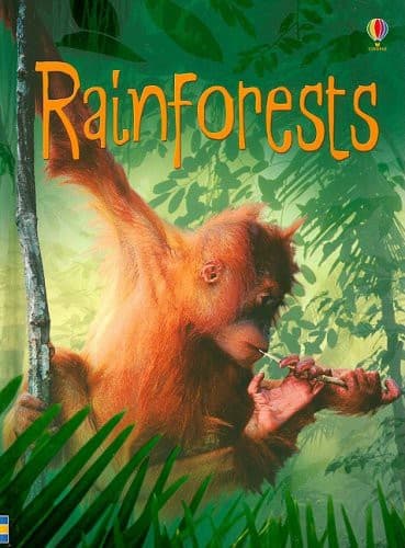 Tapa de Rainforests