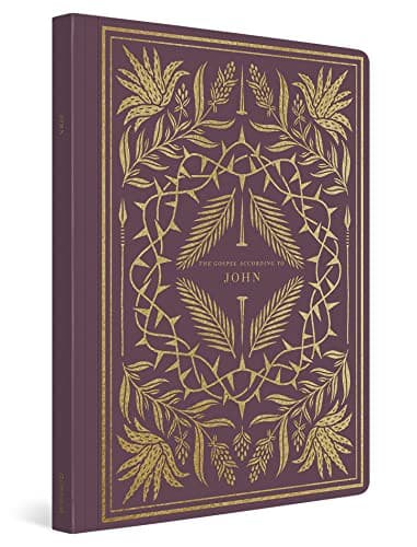 Tapa de ESV Illuminated Scripture Journal