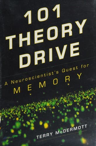 Tapa de 101 theory drive