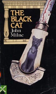 Tapa de Black Cat
