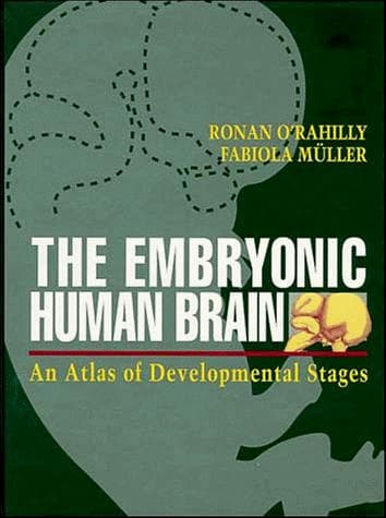 Tapa de The embryonic human brain