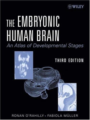 Tapa de The embryonic human brain