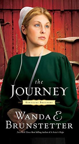 Tapa de The Journey