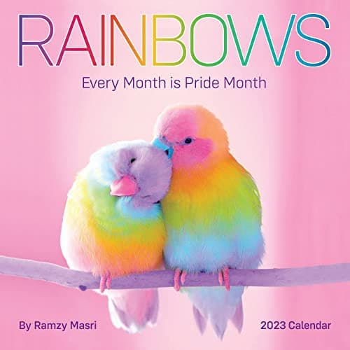 Tapa de Rainbows Wall Calendar 2023