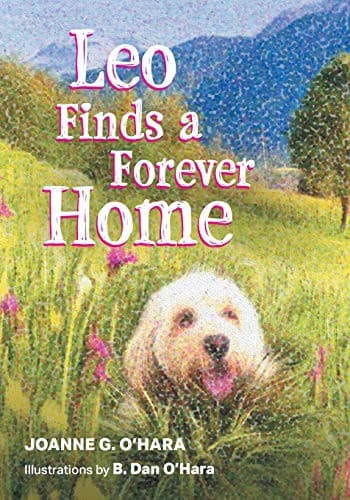 Tapa de Leo Finds a Forever Home