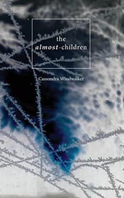 Tapa de The Almost-Children