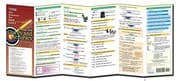 Tapa de Writing with Clarity and Accuracy