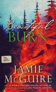 Tapa de Beautiful burn