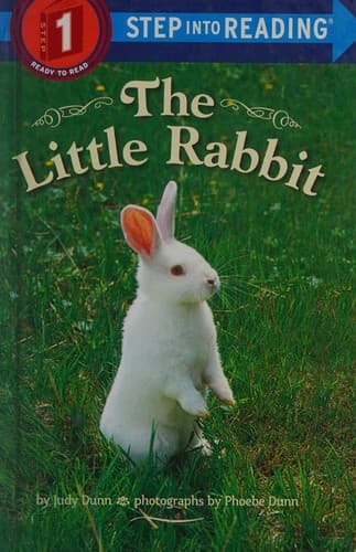 Tapa de Little Rabbit