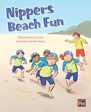 Tapa de Nippers Beach Fun