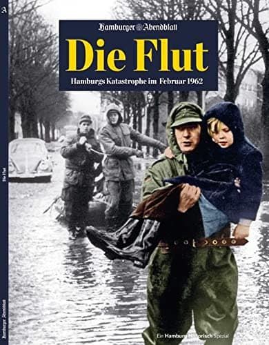Tapa de Die Flut