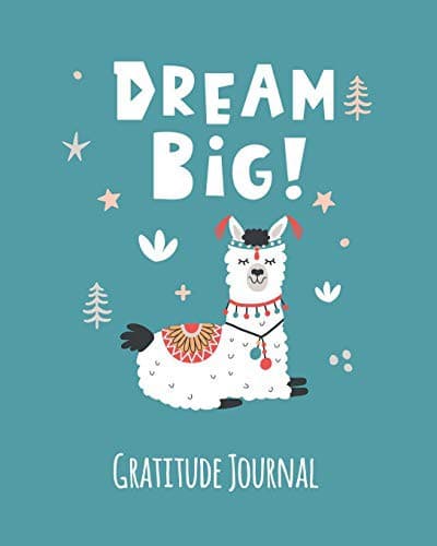 Tapa de Gratitude Journal