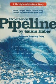 Tapa de Experience Pipeline