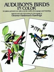 Tapa de Audubon's birds in color for decoupage