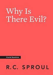 Tapa de Why Is There Evil?