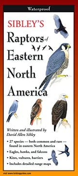 Tapa de Sibley's Raptors of Eastern North America