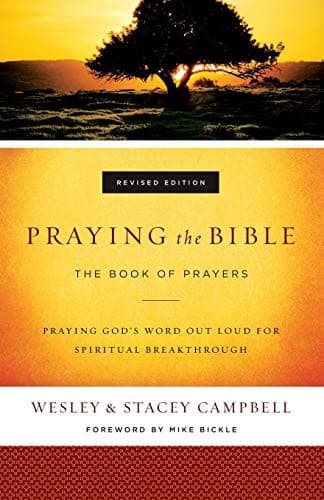 Tapa de Praying the Bible
