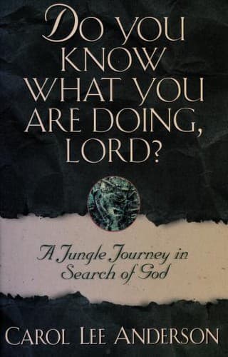 Tapa de Do you know what you are doing, Lord?