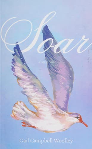 Tapa de Soar