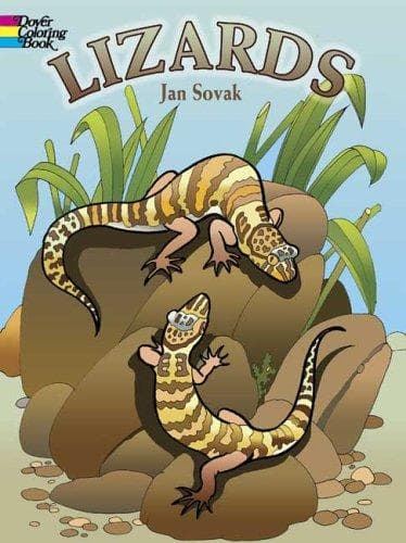 Tapa de Lizards Coloring Book